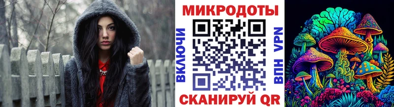 Купить закладки  Вятские Поляны  Псилоцибиновые грибы Psilocybe 